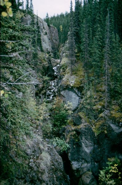 ../Images/051Domville Creek.jpg